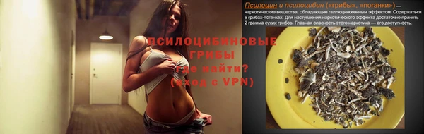 2c-b Михайлов