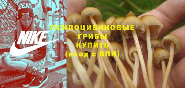 МДПВ Михайловск