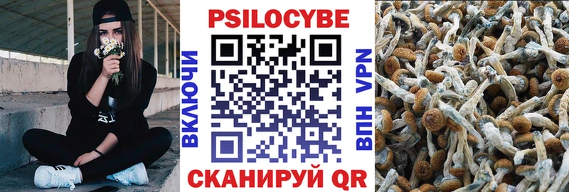 Галлюциногенные грибы Psilocybe  хочу наркоту  Спасск 